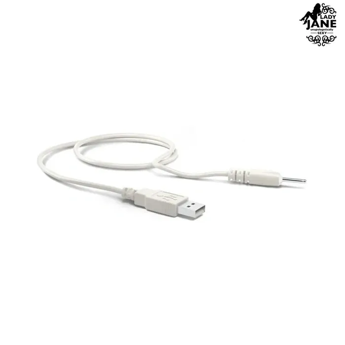 Vibrators We Vibe unite Charger USB WeVibe