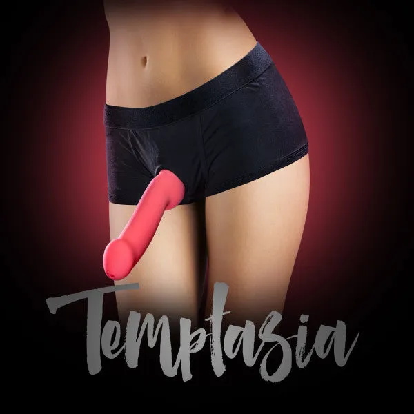 Anal Blush Novelties Temptasia Harness Briefs Small Black