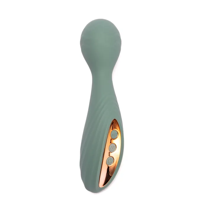 Pleasure Passion Vibrators Elephants Tail Wand