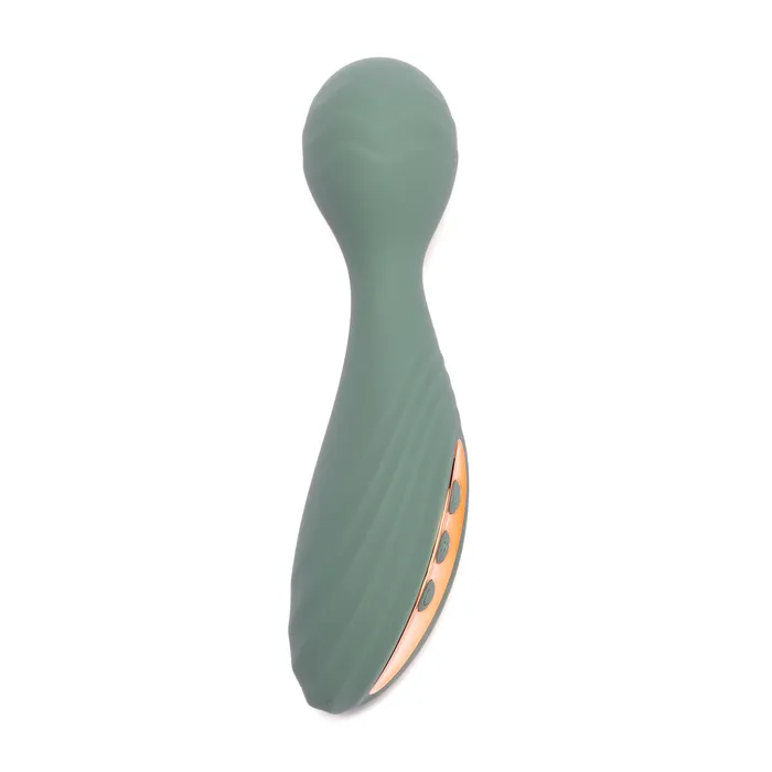 Pleasure Passion Vibrators Elephants Tail Wand