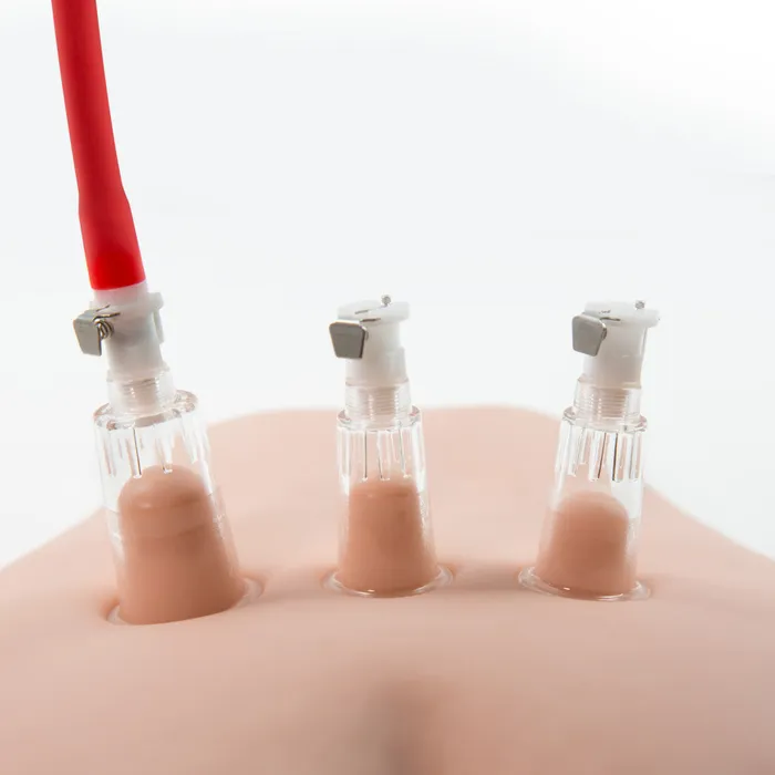 Anal Temptasia By Blush Nipple Cylinders Set of 2 Clear Pump Blush