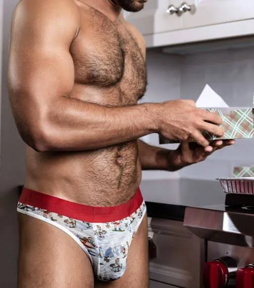 Dildos Male Power Lingerie The Sheer Male Thong from the Sheer Prints SM