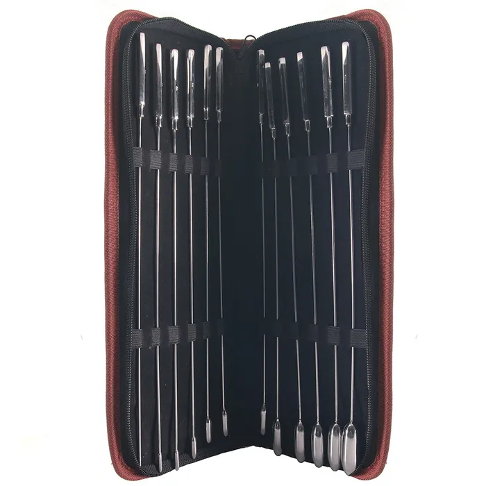Rouge Anal Stainless Steel 12 Pc Rose Bud Sounding Set