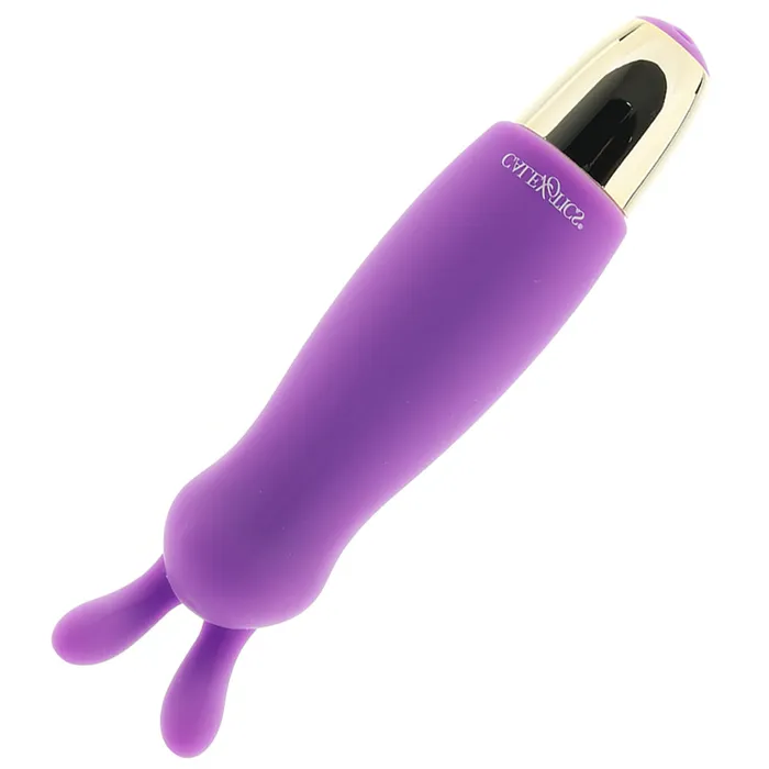 Vibrators CalExotics Slay Buzz Me Rechargeable Vibe Vibrators CalExotics Slay Buzz Me Rechargeable Vibe