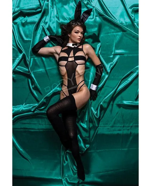 Bodyzone Apparel Anal Role Play Bz Bunny 6 Piece Set Black