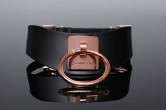 Vibrators Coquette International Inc Fiery Elegance Vegan Collar in Black Rose Gold