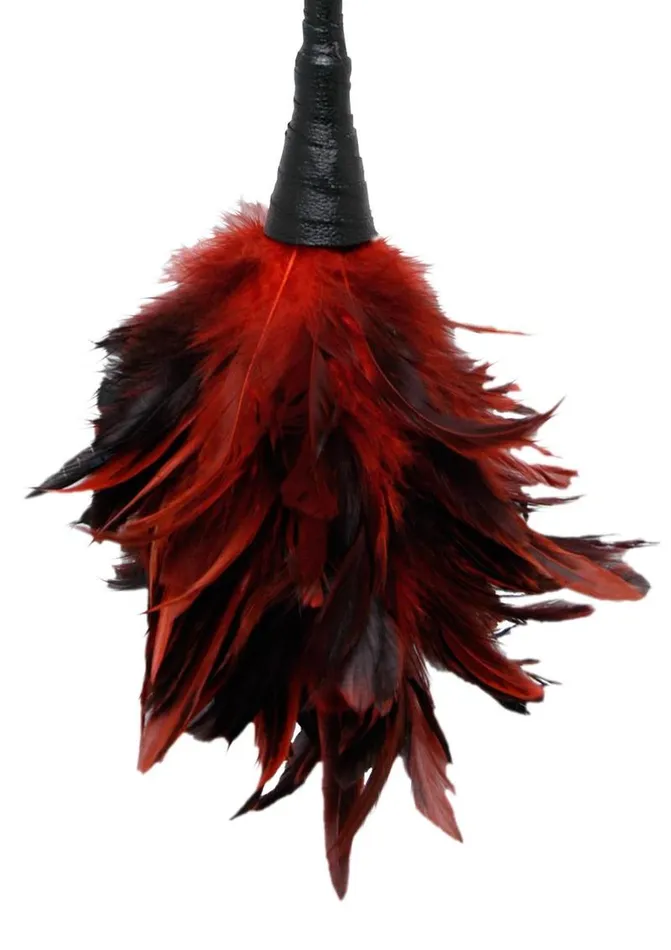 Fetish Fantasy Series Couples Fetish Fantasy Series Frisky Feather Duster