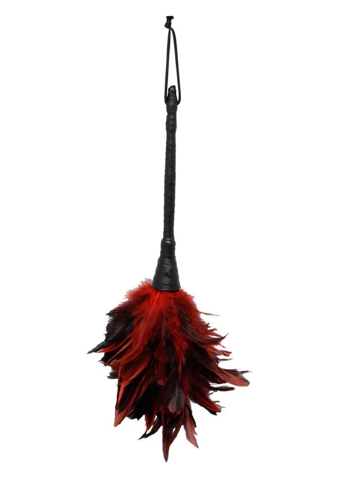 Fetish Fantasy Series Couples Fetish Fantasy Series Frisky Feather Duster