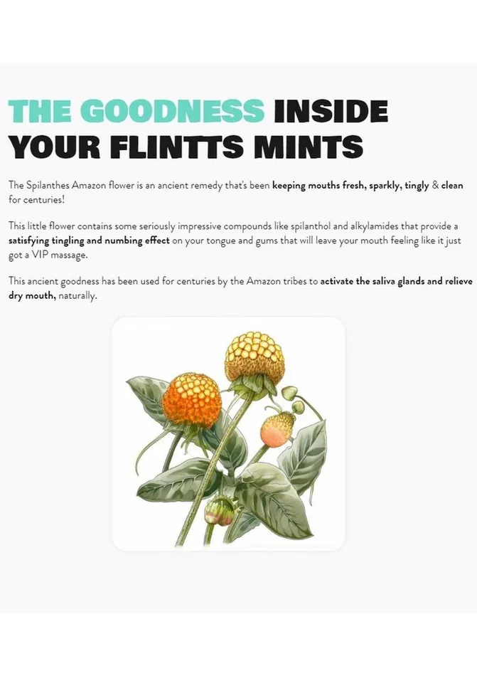 Flintts Mints Vibrators Flintts Mints Mouth Watering Oral Delights