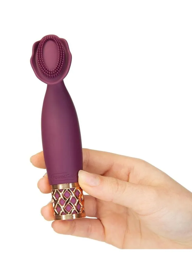 Pillowtalk Female Sex Toys Pillow Talk Passion Rechargeable Silicone Massager