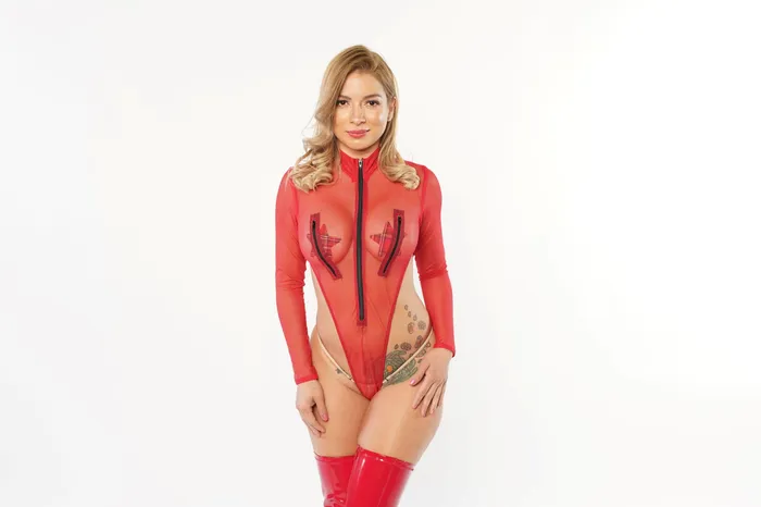 Pts02 Teddies And Bodies Exclusive Sheer Lace Bodysuit Zipper Front PTS02