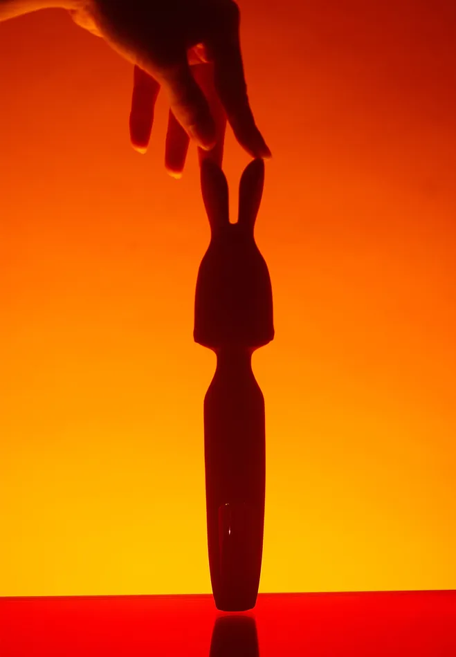 Revolution Rechargeable Wand Love to Love US Female Sex Toys
